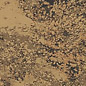 50650-099